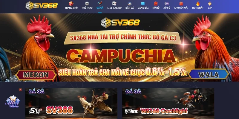 Đá Gà SV368 - Trải Nghiệm Kịch Tính, Đẳng Cấp Cho Cược Thủ